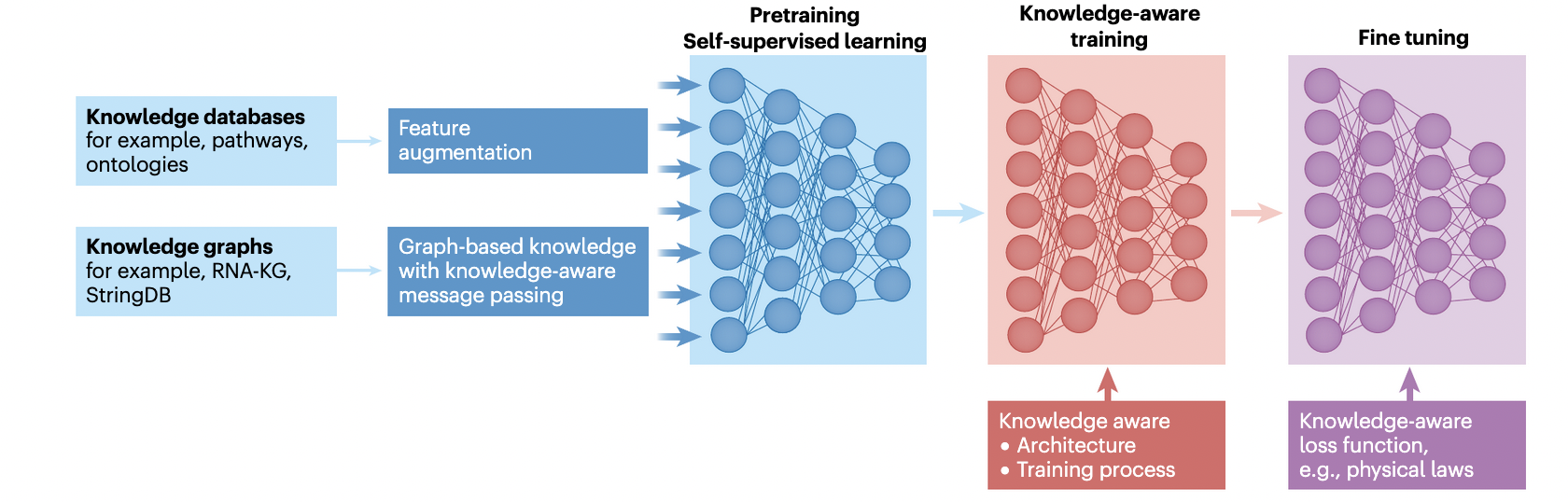 Decoding the interactions and functions of non-coding RNA with artificial intelligence